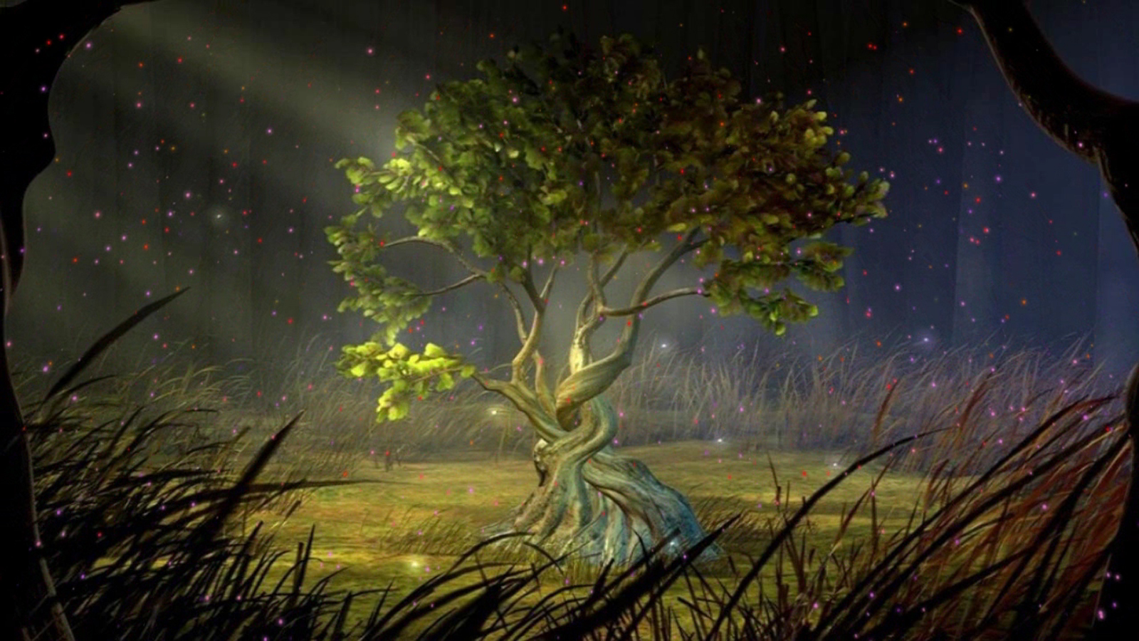 Tree Of Life Rapidshare Hd